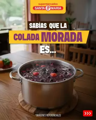 Catálogo Santa Maria (válido hasta 3-11)