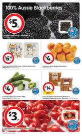 Coles catalogue week 43 Page 17