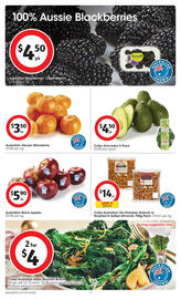 Coles catalogue week 43 Page 17