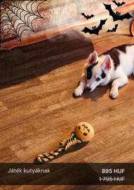 Sinsay akciós újság Oldal 15