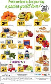 Food Lion weekly ad week 43 Page 13