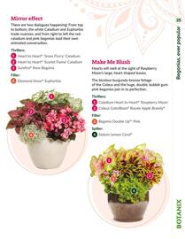 Botanix flyer Page 25