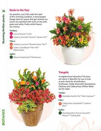 Botanix flyer Page 26