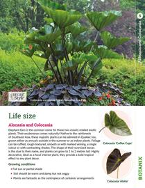 Botanix flyer Page 5