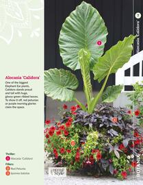 Botanix flyer Page 7