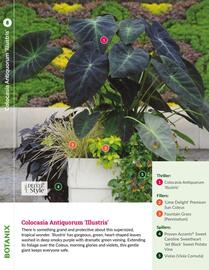Botanix flyer Page 8
