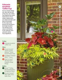 Botanix flyer Page 9