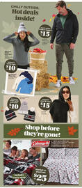 Giant Tiger flyer week 43 Page 4