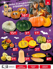 Selgros gazetka Strona 11
