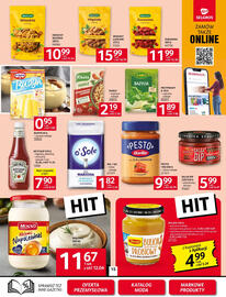 Selgros gazetka Strona 15