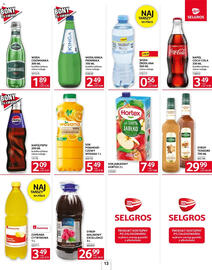 Selgros gazetka Strona 13