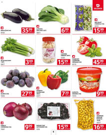 Selgros gazetka Strona 6