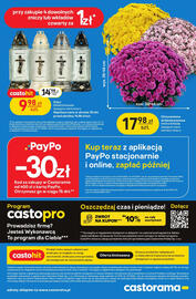 Castorama gazetka Strona 16