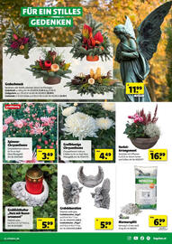 Hagebau Flugblatt Seite 3