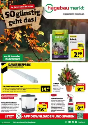 Hagebau Flugblatt (gültig bis 1-11)