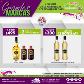 Folleto Bodegas Alianza Página 18