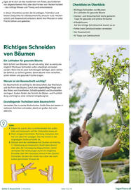 Lagerhaus Flugblatt Seite 3