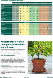 Lagerhaus Flugblatt Seite 7