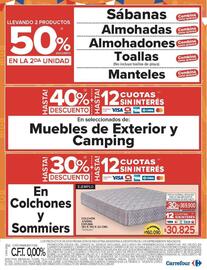 Catálogo Carrefour Página 21