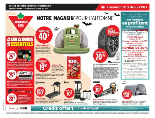 Canadian Tire flyer (valid until 29-10)