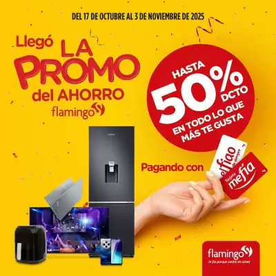 Catálogo Flamingo (válido hasta 3-11)