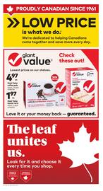 Giant Tiger flyer week 43 Page 5