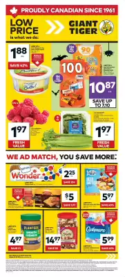 Giant Tiger flyer (valid until 28-10)