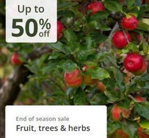 Crocus leaflet Page 3