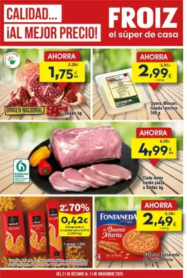 Folleto FROIZ (válido hasta el 11-11)