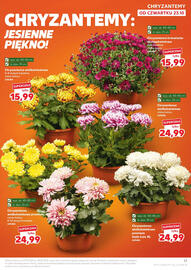 Kaufland gazetka tydzień 43 Strona 17