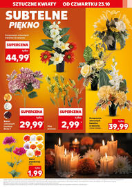 Kaufland gazetka tydzień 43 Strona 13