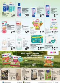 CITTI Markt Prospekt woche 43 Seite 15