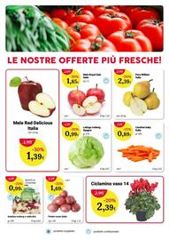 Volantino Re Mercato Lucrezia settimana 43 Pagina 4