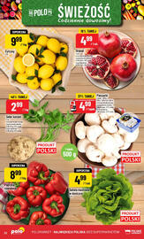 Polomarket gazetka tydzień 43 Strona 22