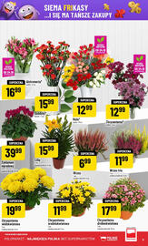 Polomarket gazetka tydzień 43 Strona 9