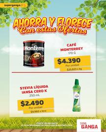 Catálogo Super Ganga Página 6