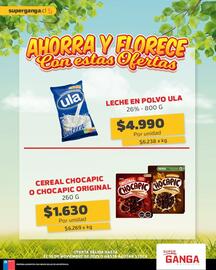 Catálogo Super Ganga Página 8