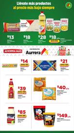 Folleto Bodega Aurrerá Página 5