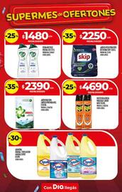 Folleto Supermercados DIA semana 43 Página 22