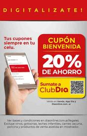 Folleto Supermercados DIA semana 43 Página 25