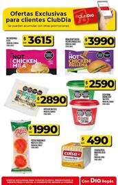 Folleto Supermercados DIA semana 43 Página 45