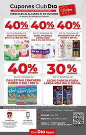 Folleto Supermercados DIA semana 43 Página 6
