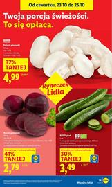Lidl gazetka Strona 29