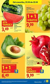 Lidl gazetka Strona 31