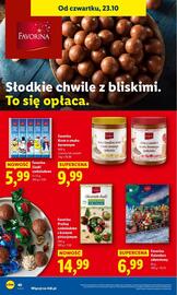 Lidl gazetka Strona 44