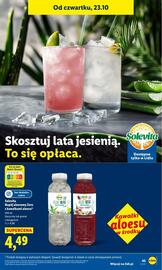 Lidl gazetka Strona 49