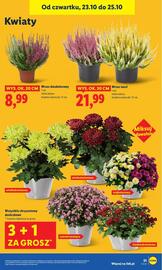 Lidl gazetka Strona 55