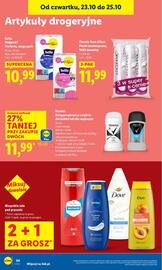 Lidl gazetka Strona 58