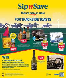 SipnSave catalogue Page 1