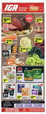 IGA flyer